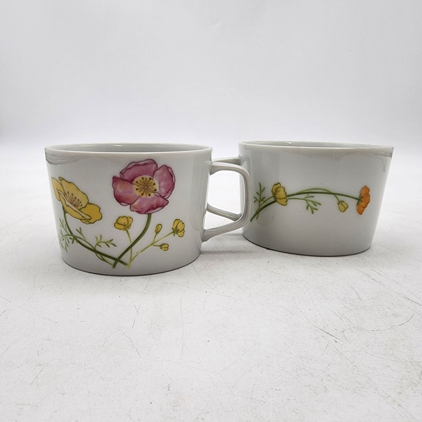Vintage Jardin Geneve Fine China Floral Teacups Set Of 2