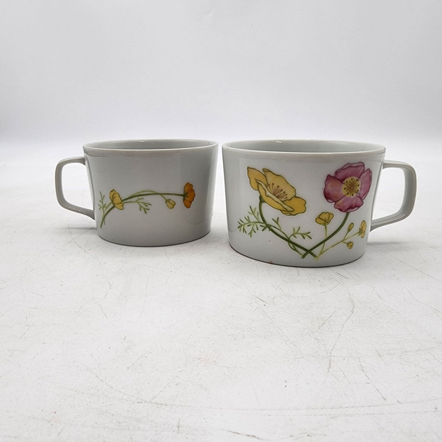 Vintage Jardin Geneve Fine China Floral Teacups Set Of 2