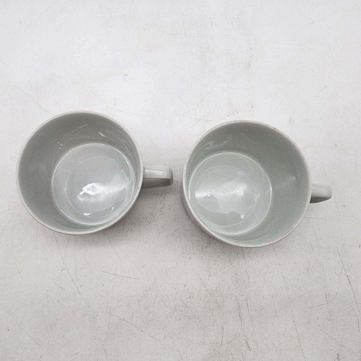 Vintage Jardin Geneve Fine China Floral Teacups Set Of 2