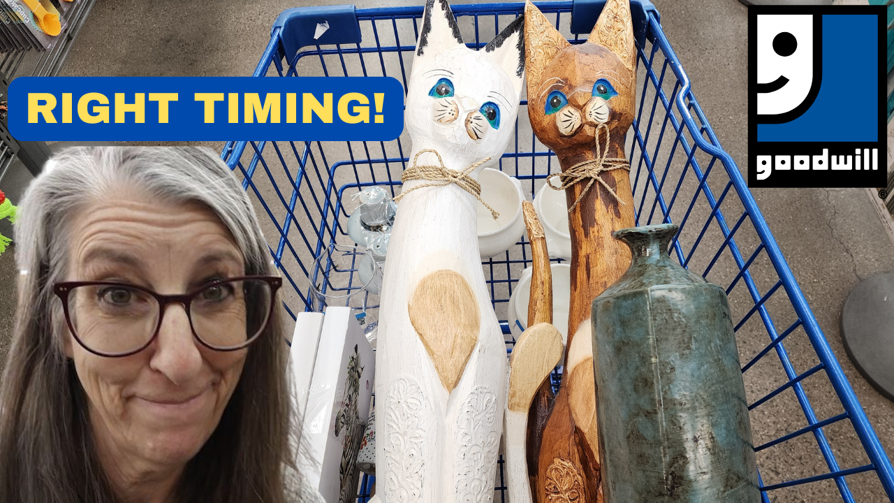 Items From the Niche Lady's 01/19/2025 Video