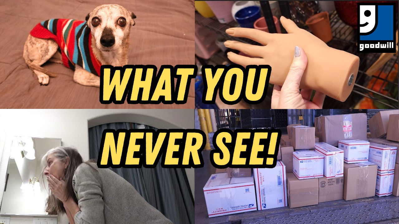 Items From the Niche Lady's 01/24/2025 Video