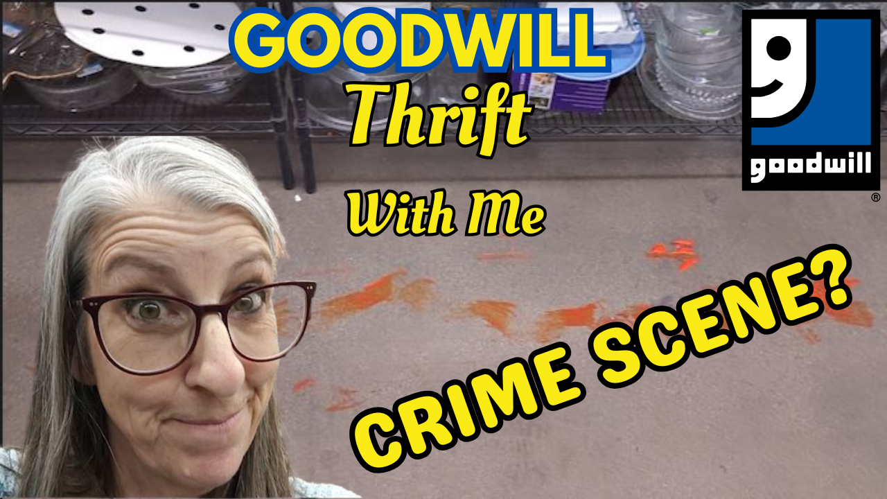 Items From the Niche Lady's 02/26/2025 Video