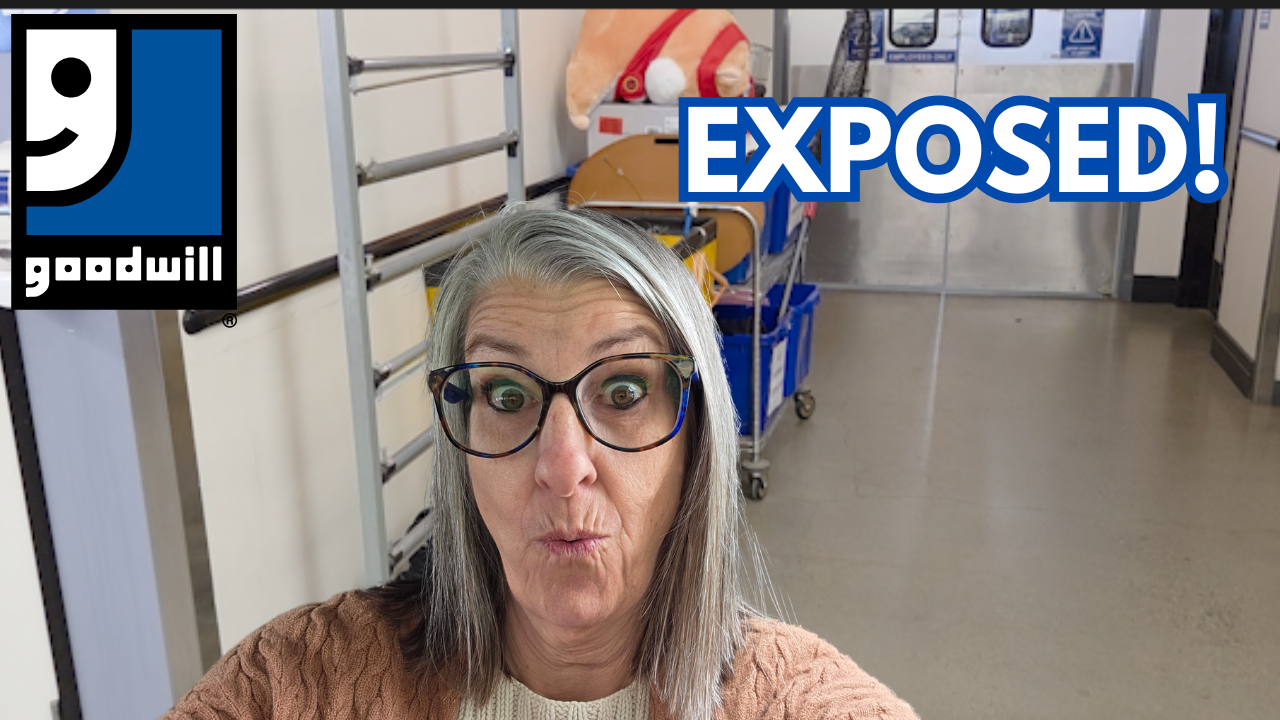 Items From the Niche Lady's 02/13/2026 Video