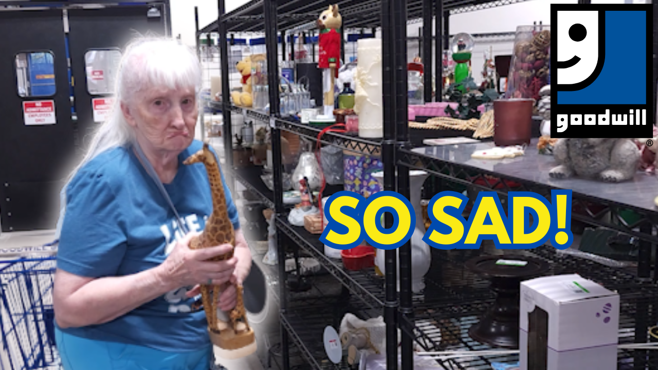 Items From the Niche Lady's 08/22/2025 Video