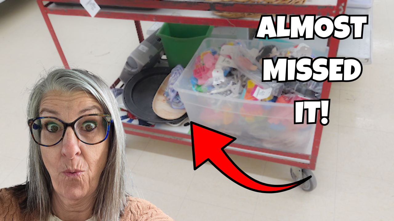 Items From the Niche Lady's 05/29/2026 Video
