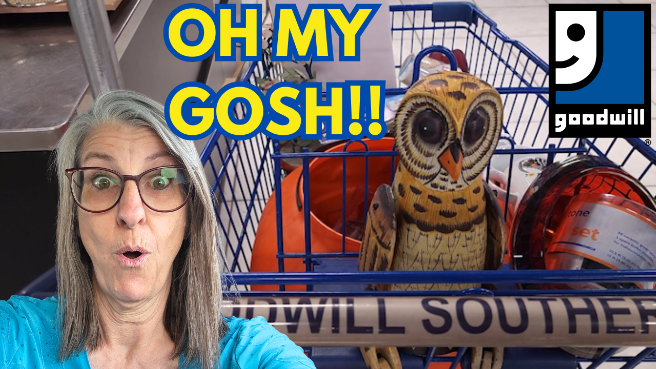 Items From the Niche Lady's 09/10/2025 Video