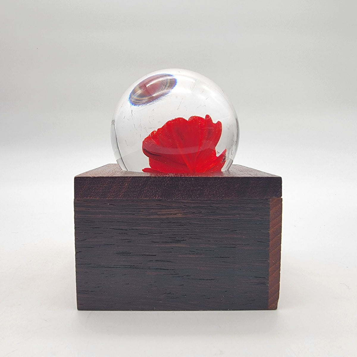 Vintage 1983 Red Flower Glass Paperweight With Wood Base Signed