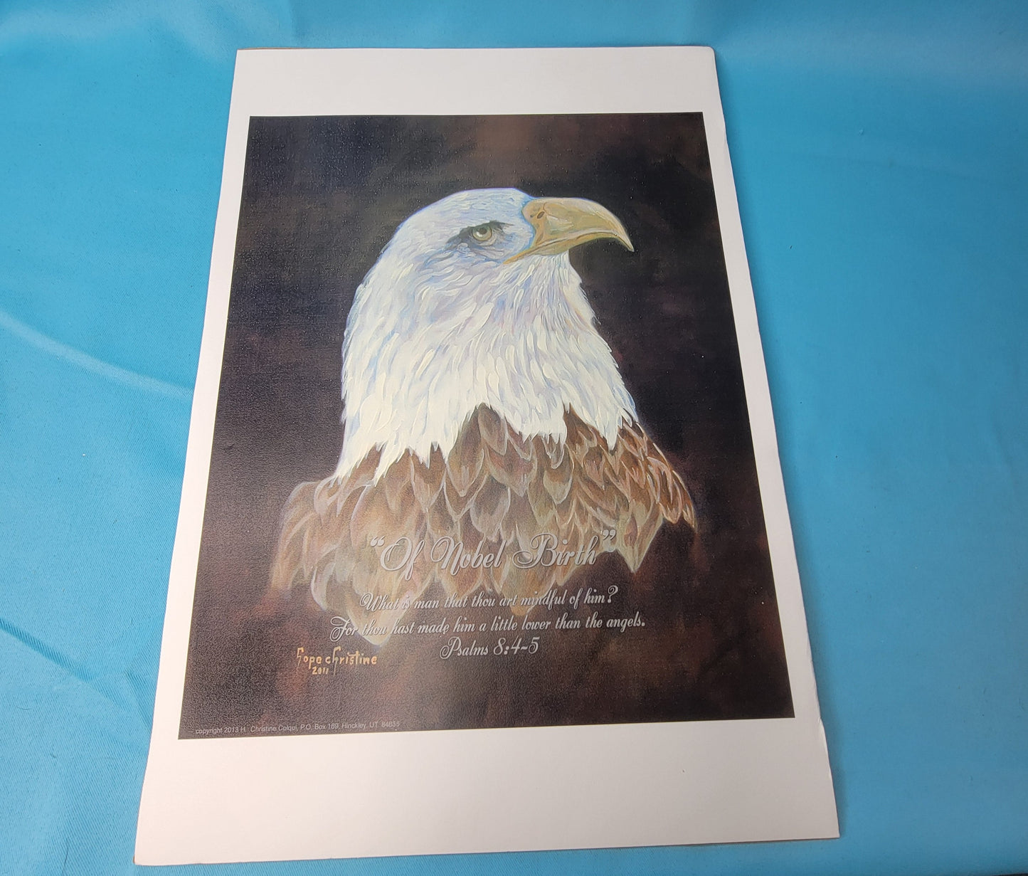 Hope Christine 2011  Eagle Print