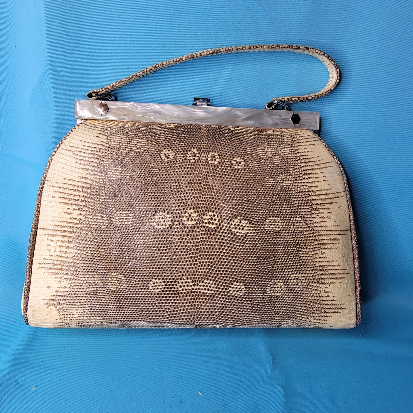 Vintage Python Snakeskin Purse