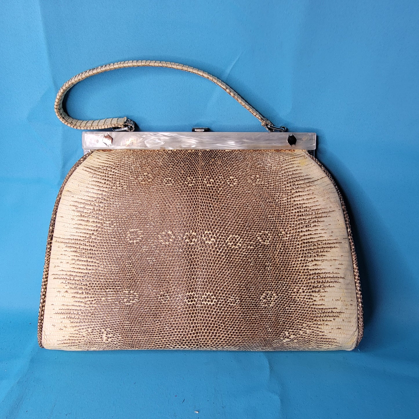 Vintage Python Snakeskin Purse