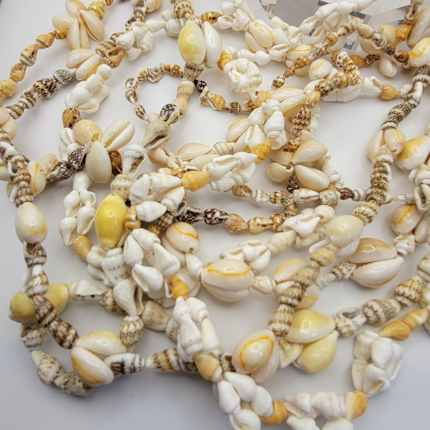 Lot of Shell Necklaces