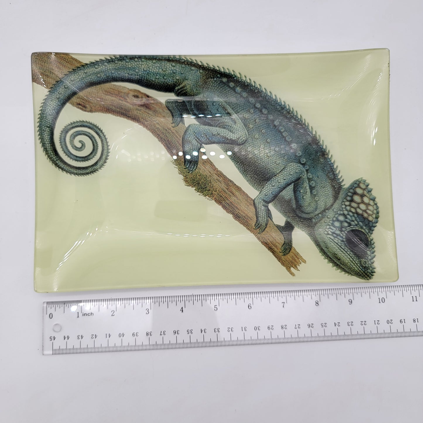 Pottery Barn Chameleon Glass Tray