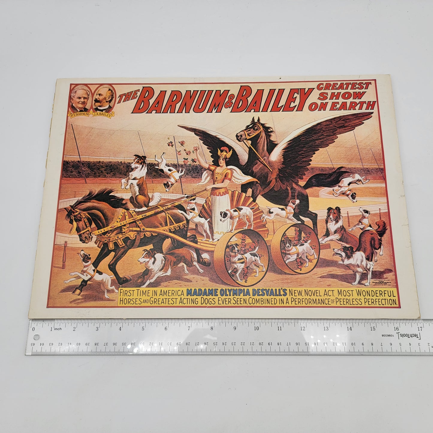 Barnum & Bailey Greatest Show on Earth Poster