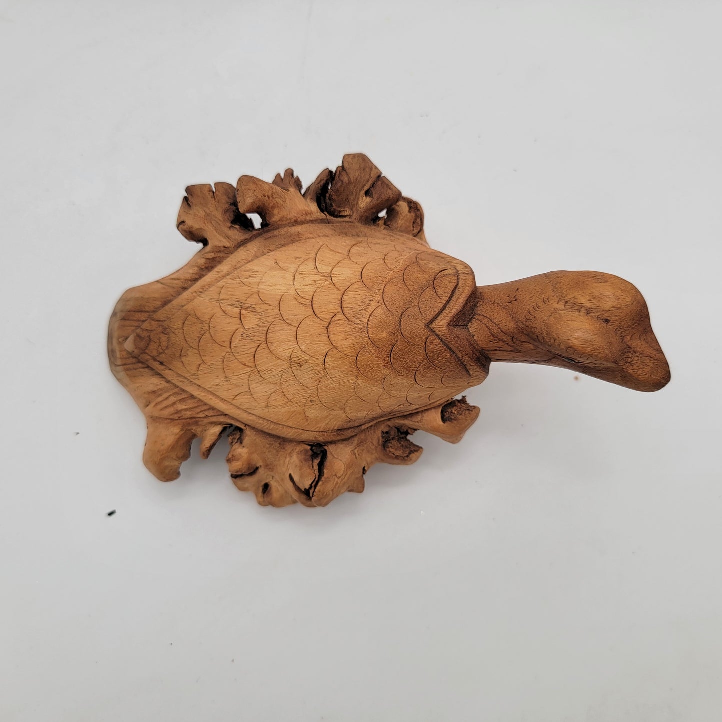 Carved Burlwood Sea Turtle