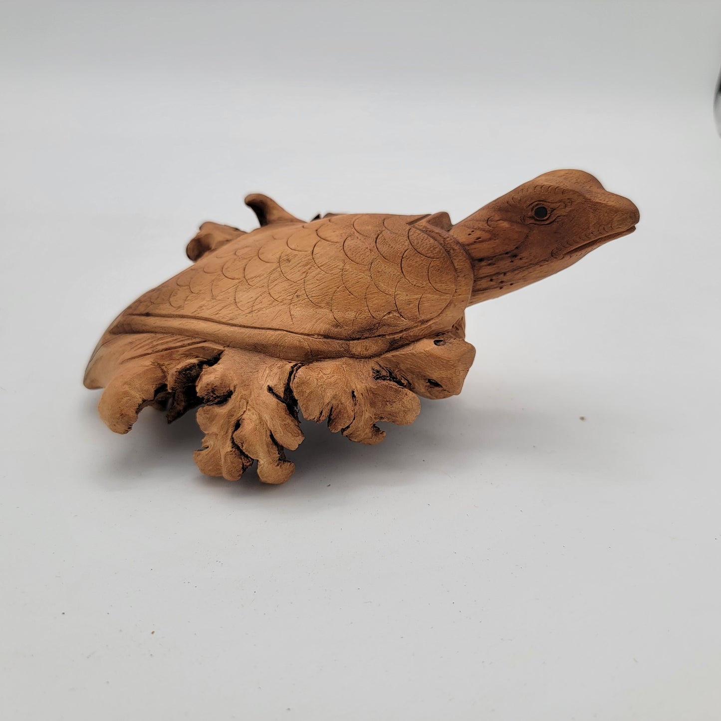 Carved Burlwood Sea Turtle