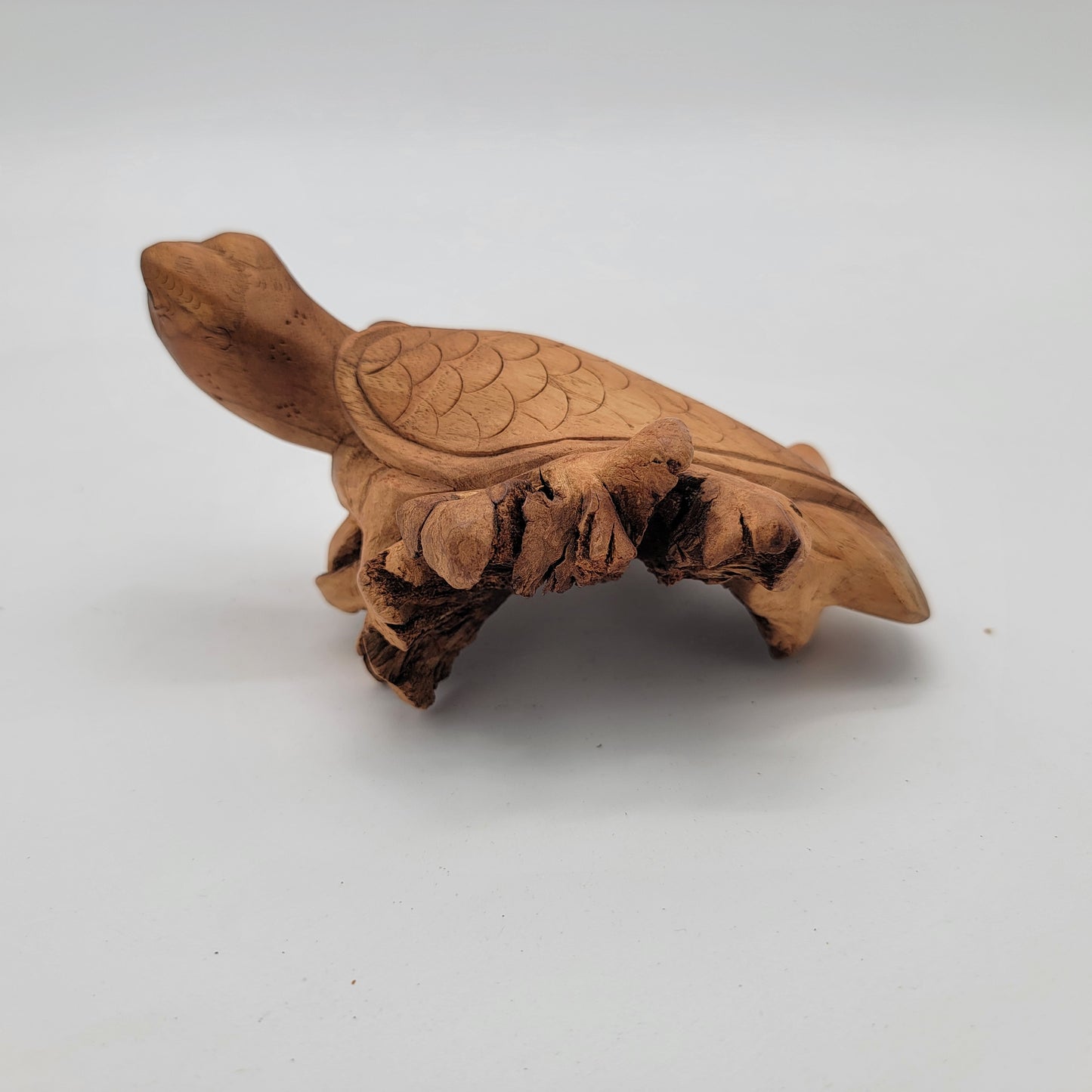 Carved Burlwood Sea Turtle