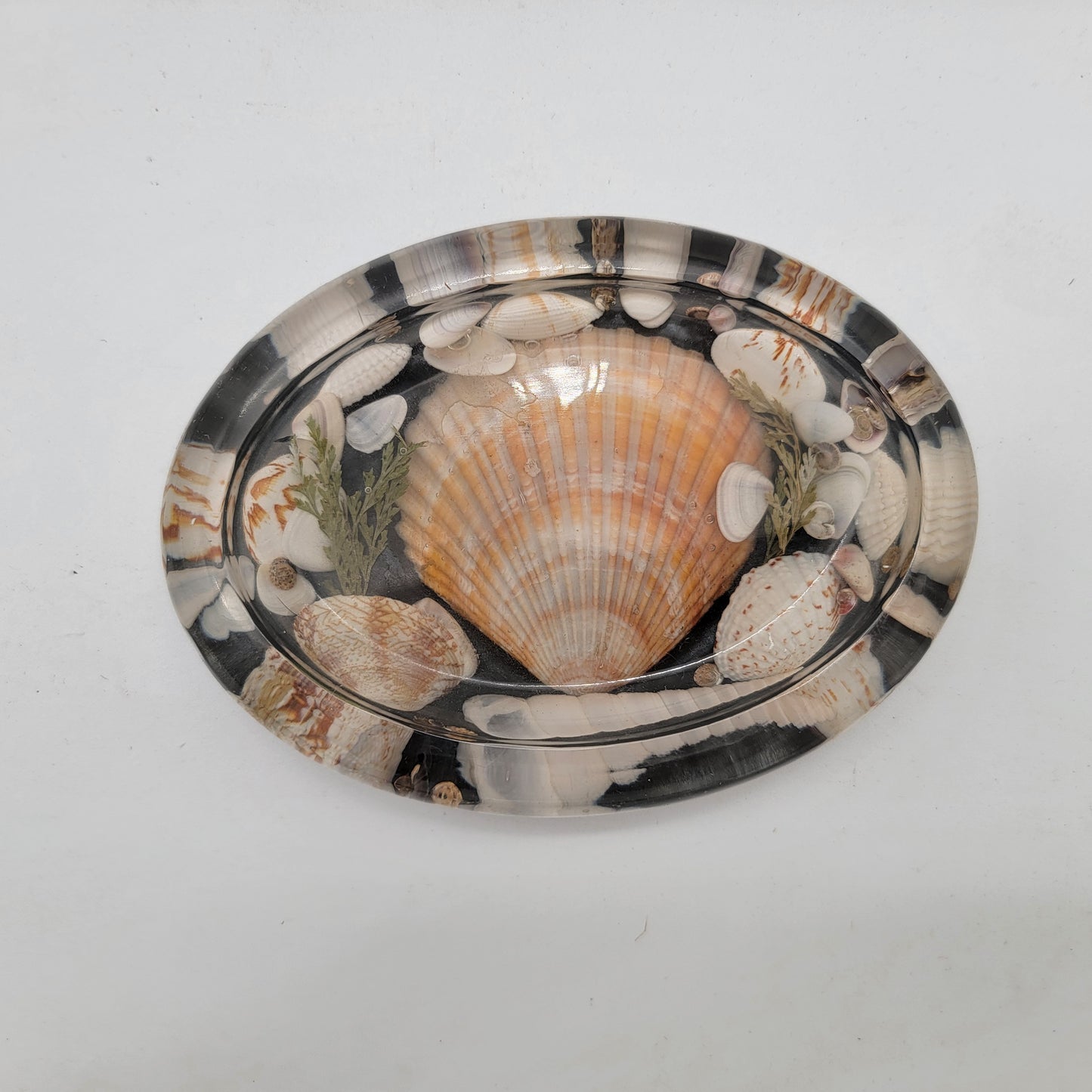 Vintage Lucite Seashell Soap Dish