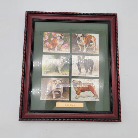 Framed Bull Dog Collection Series of 6 Cards