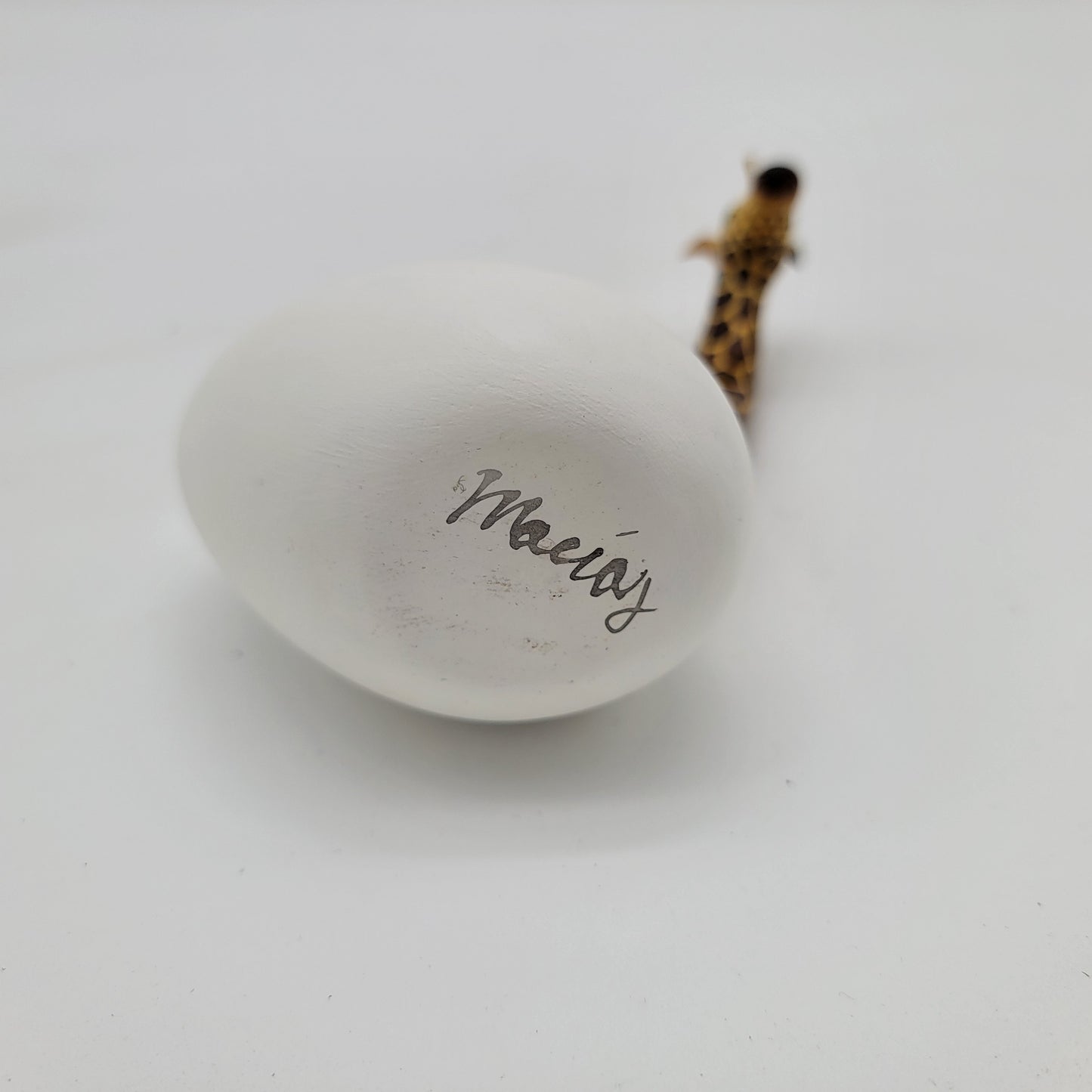 Artist Signed Giraffe Hatching from Egg