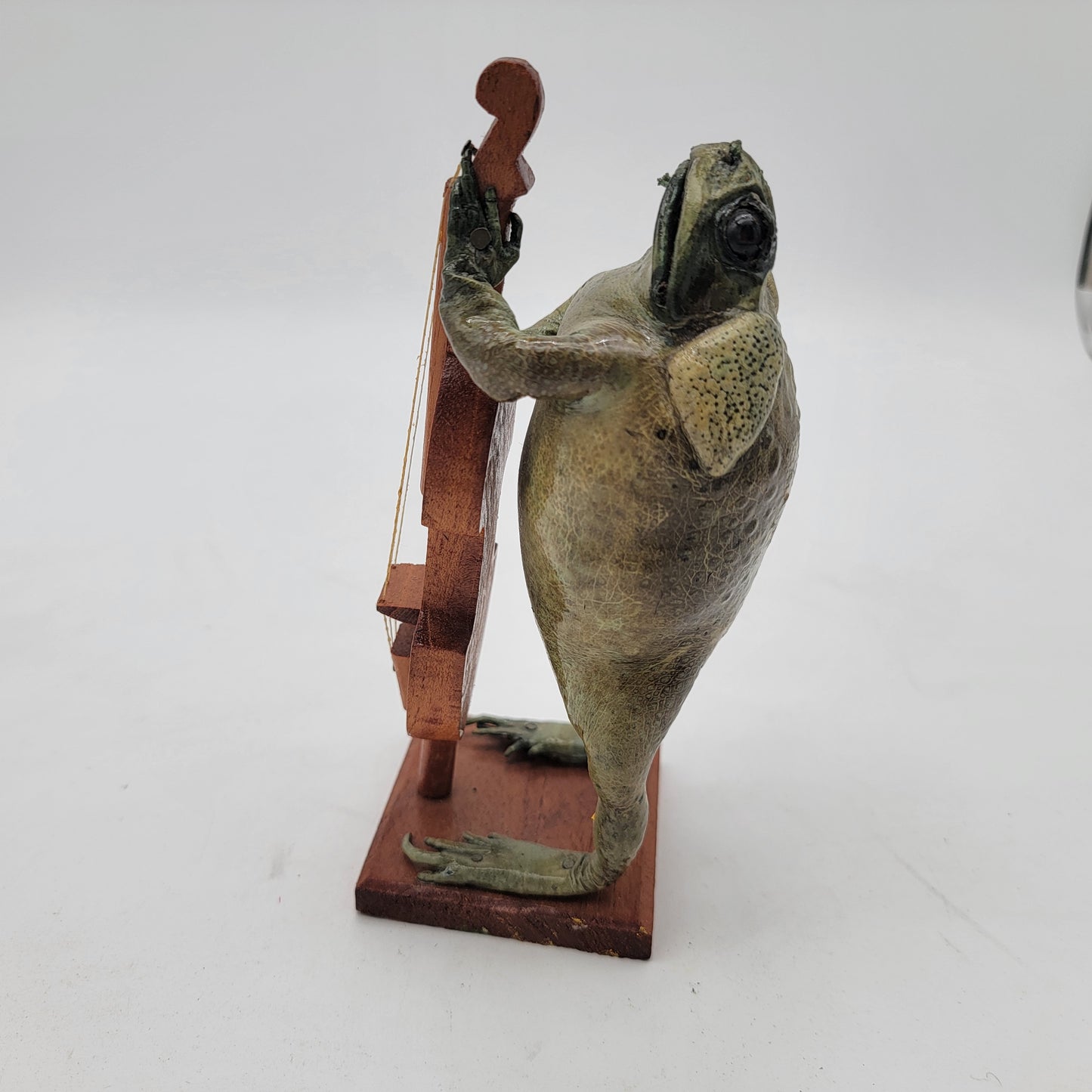 Taxidermy Toad Playing Bass