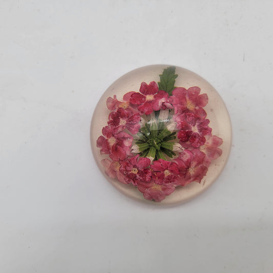 Vintage Lucite Flower Paperweight