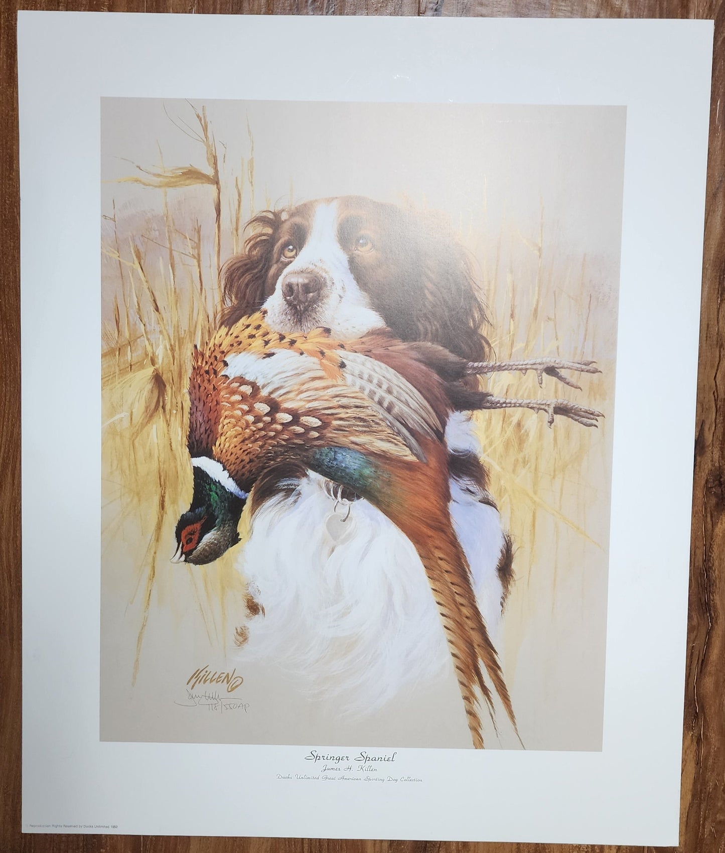 James Killen Springer Spaniel Ducks Unlimited Artist Proof Print