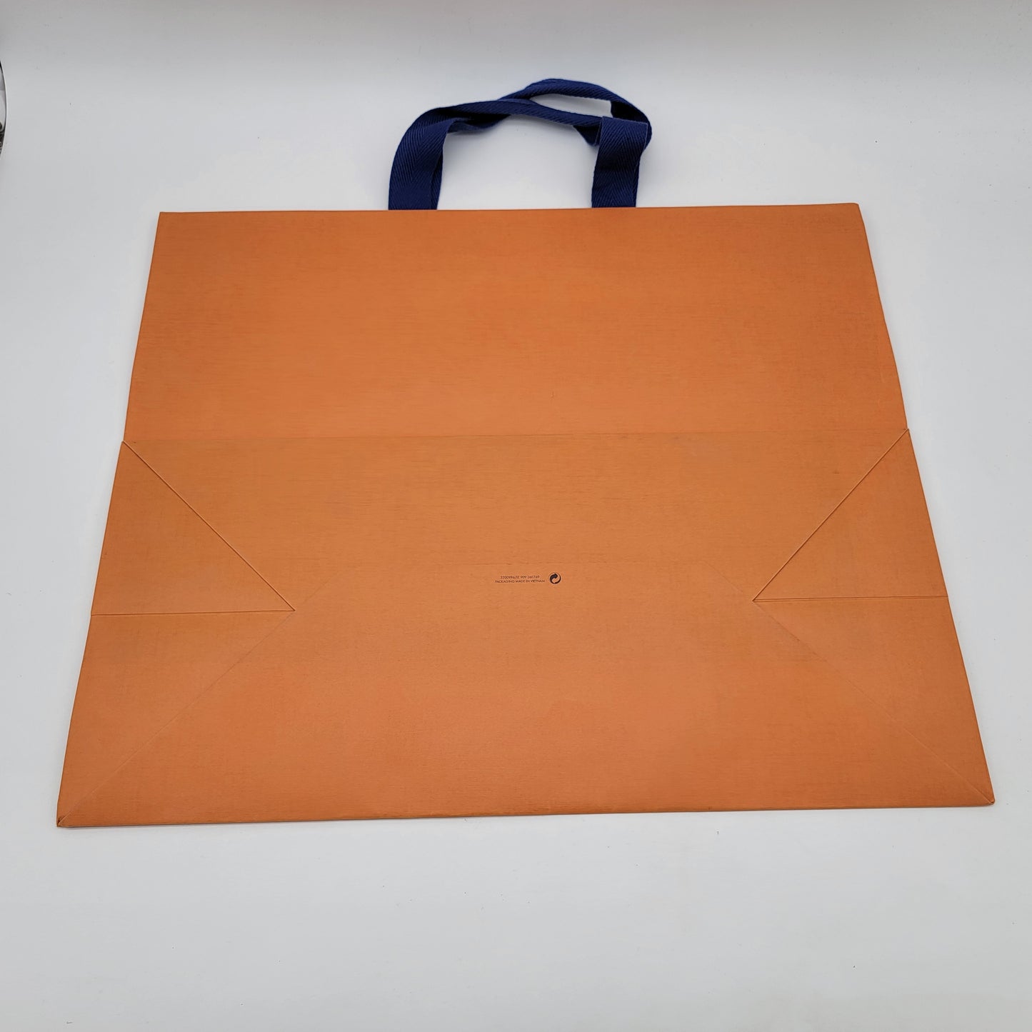 Large Louis Vuitton Paper Bag