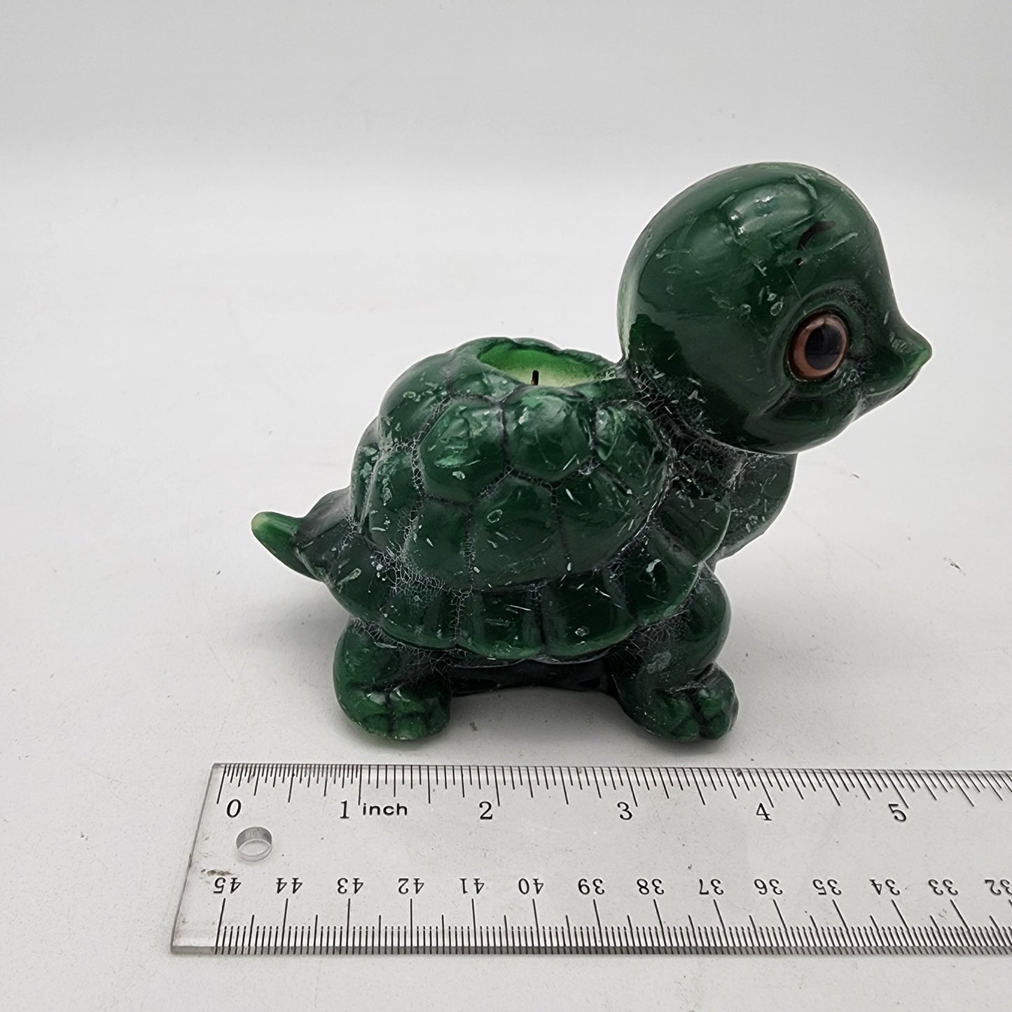 Cute Vintage Turtle Candle