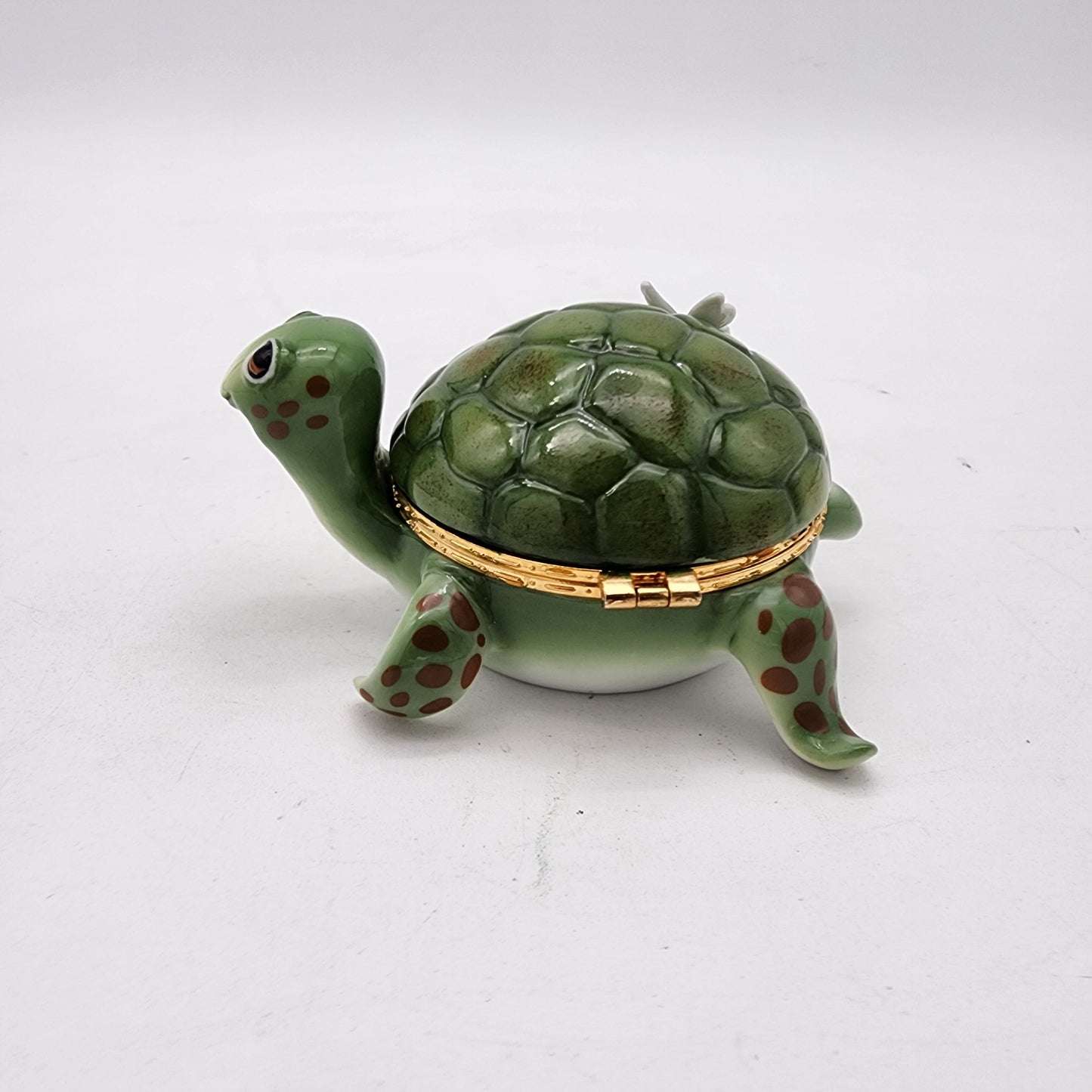 Ardleigh Elliott Little Charmer Turtle Trinket Box