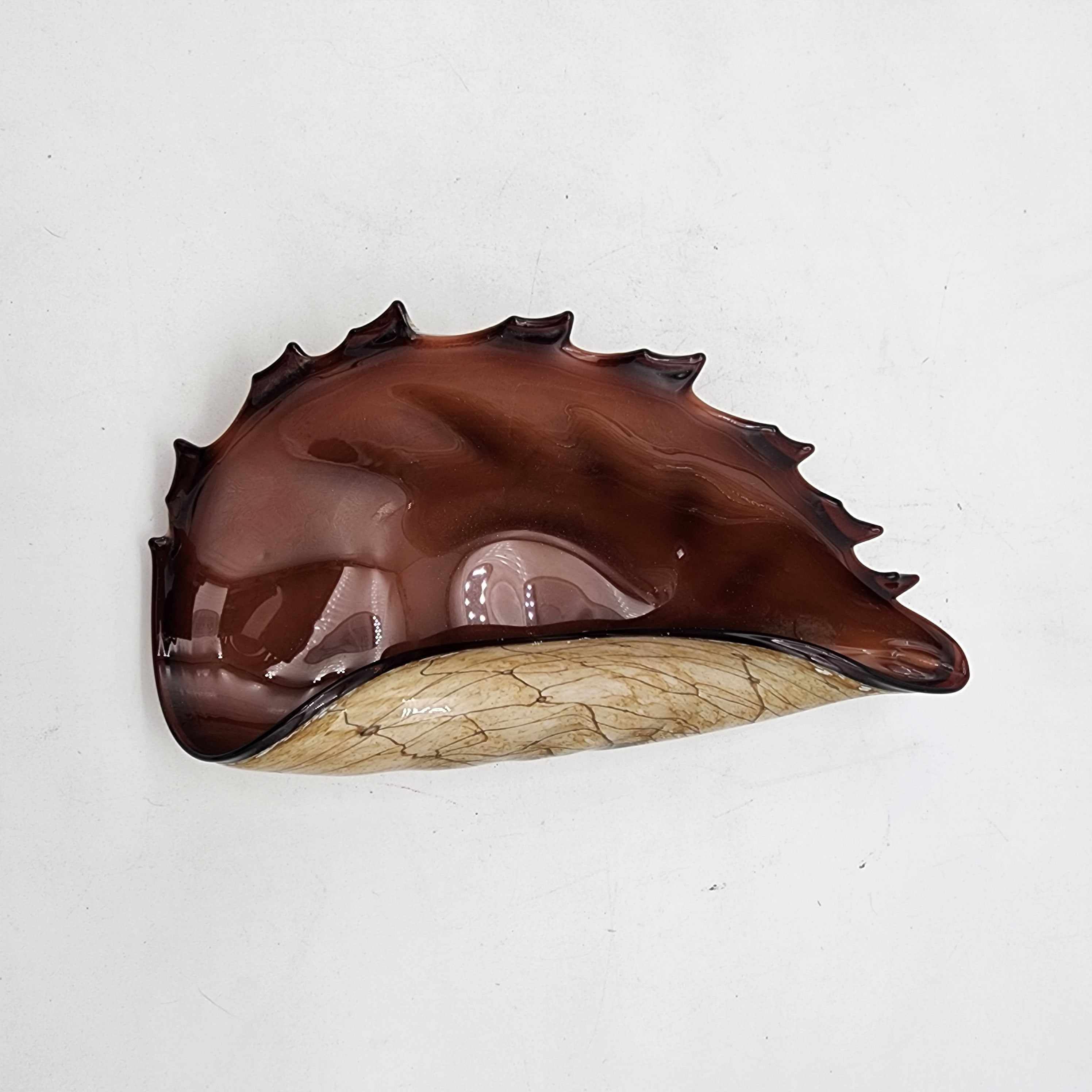 Shell Nitch Krosnos Glass Shell – Niche Lady Shop
