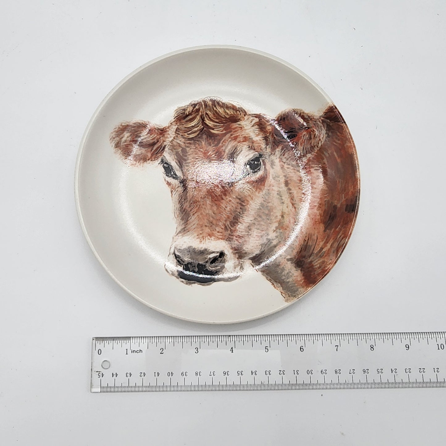 Pair of 222 5th Jersey Cow Plates