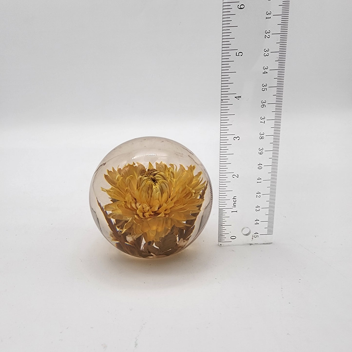 Hafod Grange Botanical Lucite Paperweight Yellow Helichrysum