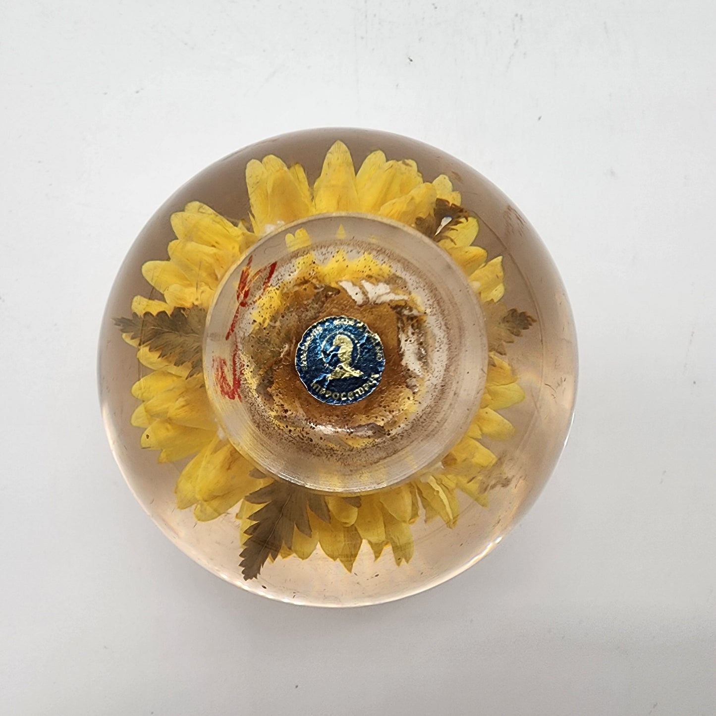 Hafod Grange Botanical Lucite Paperweight Yellow Helichrysum