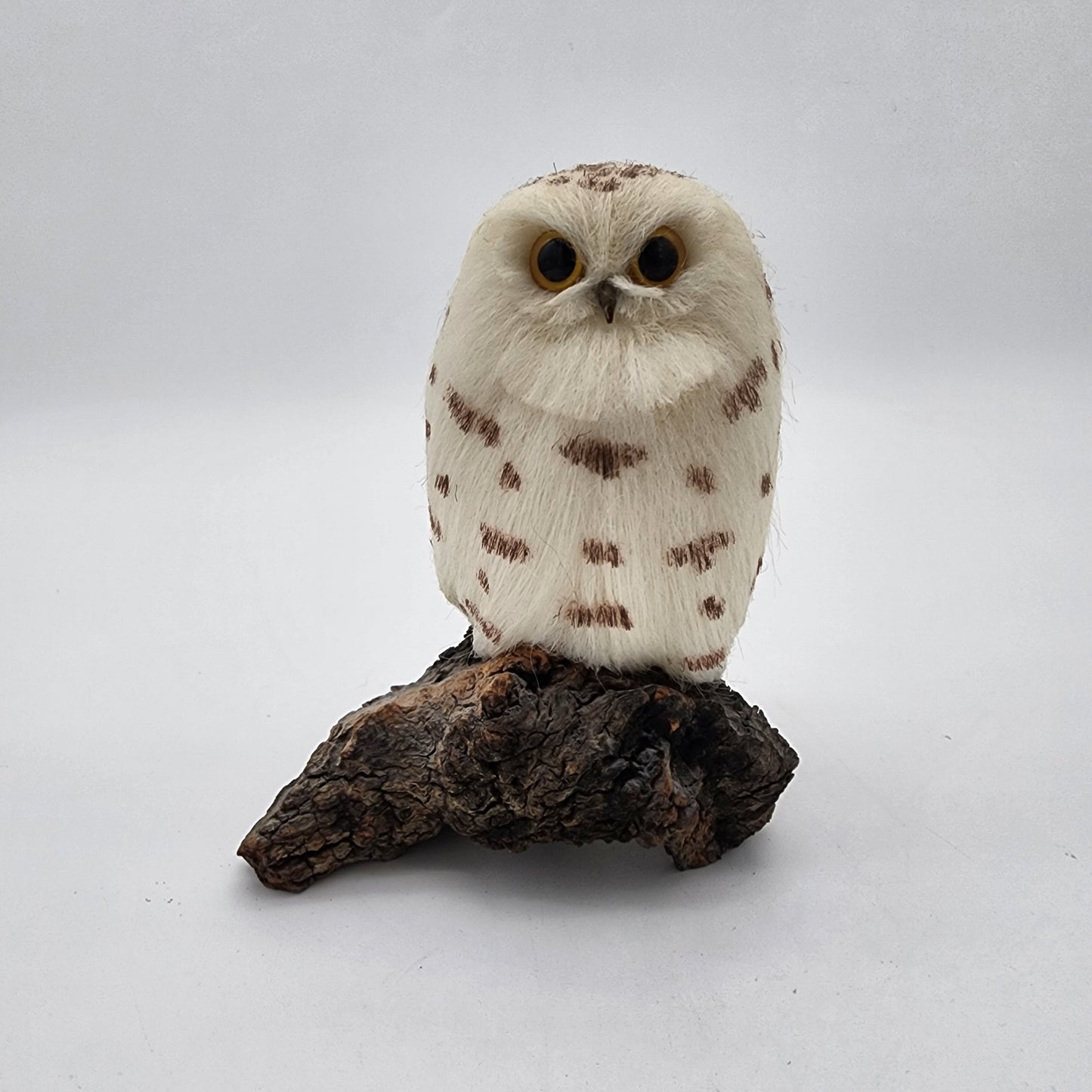 Whooly Whoos Owl on Driftwood