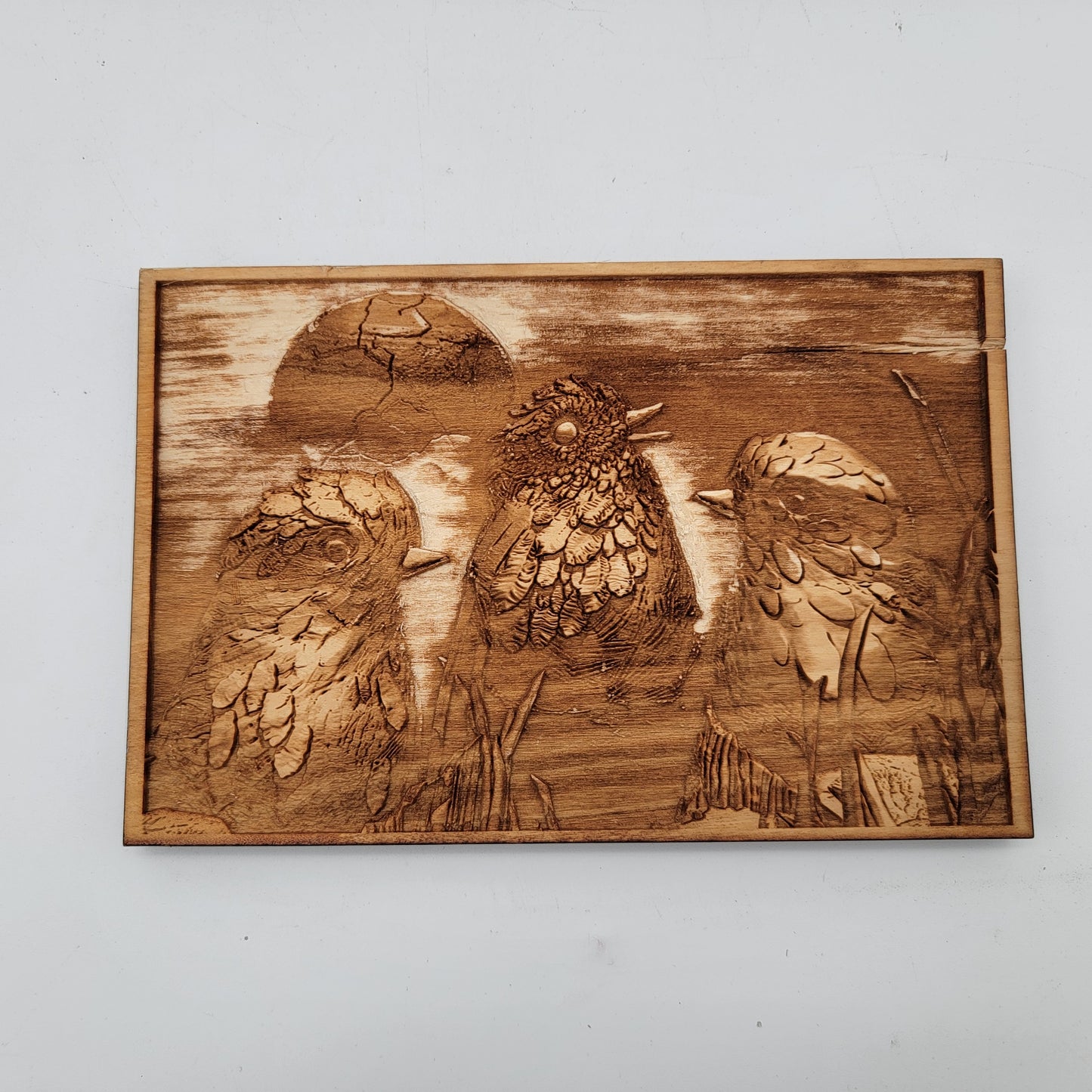 Pyrography Art Birds Wall Hanging