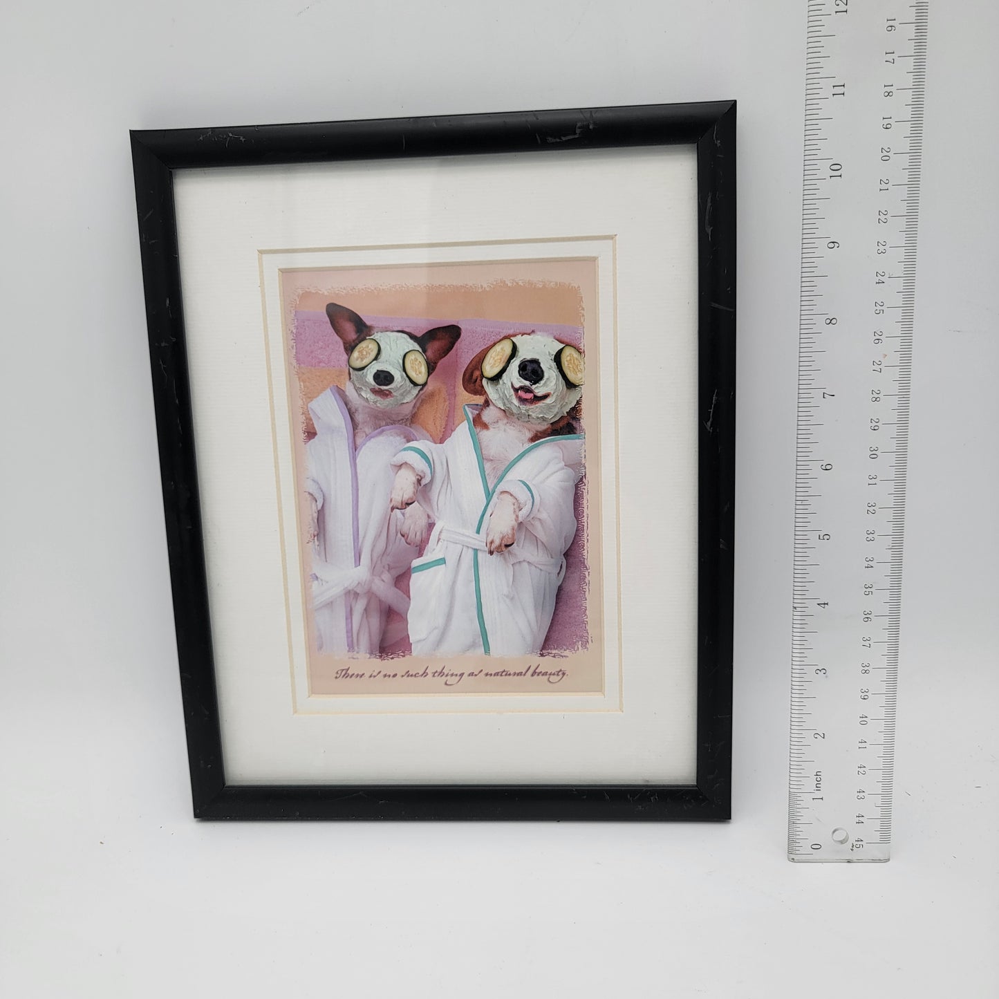 Spa Day Dogs Print