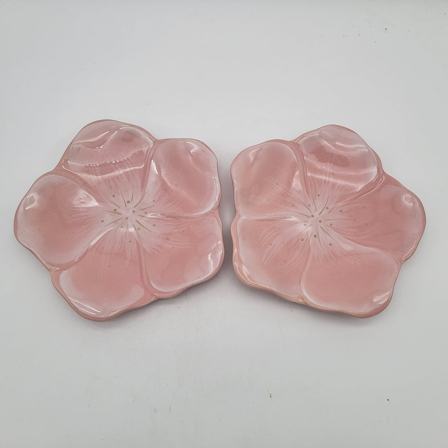 Pair of Princess House Exclusive Pink Flower Plates