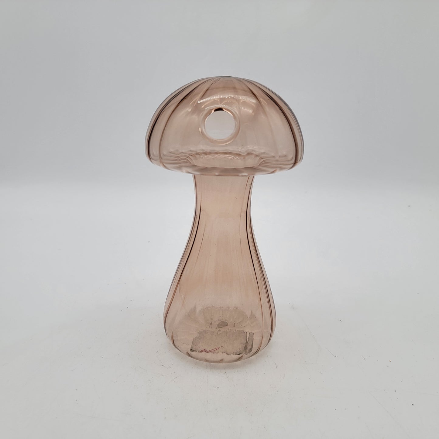 Thin Glass Mushroom Hydroponic Propogation Vase