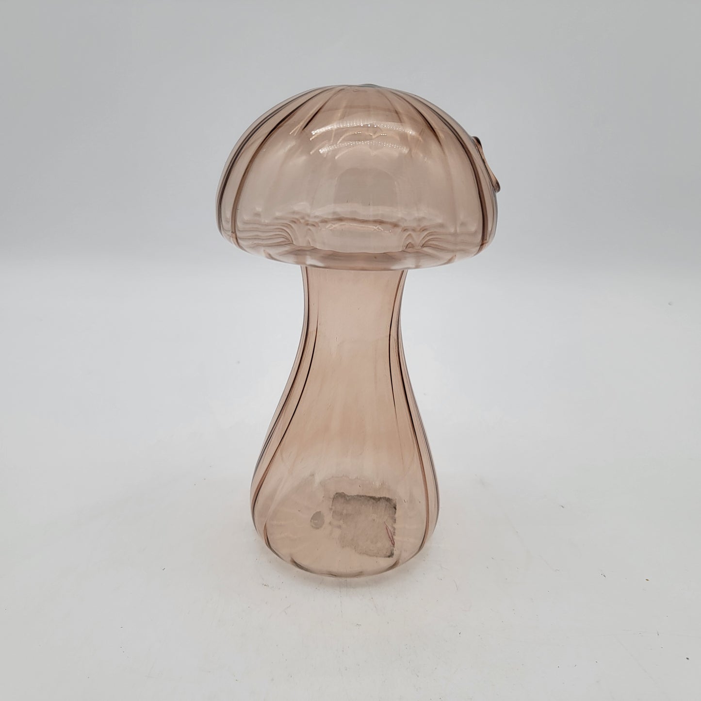 Thin Glass Mushroom Hydroponic Propogation Vase