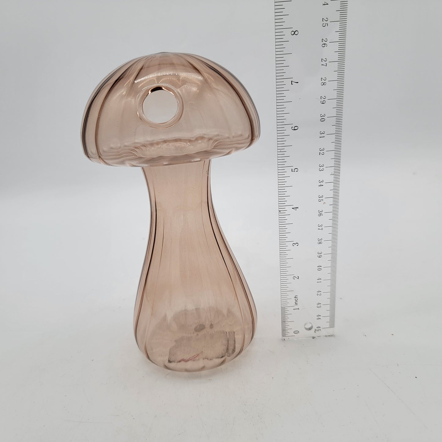 Thin Glass Mushroom Hydroponic Propogation Vase