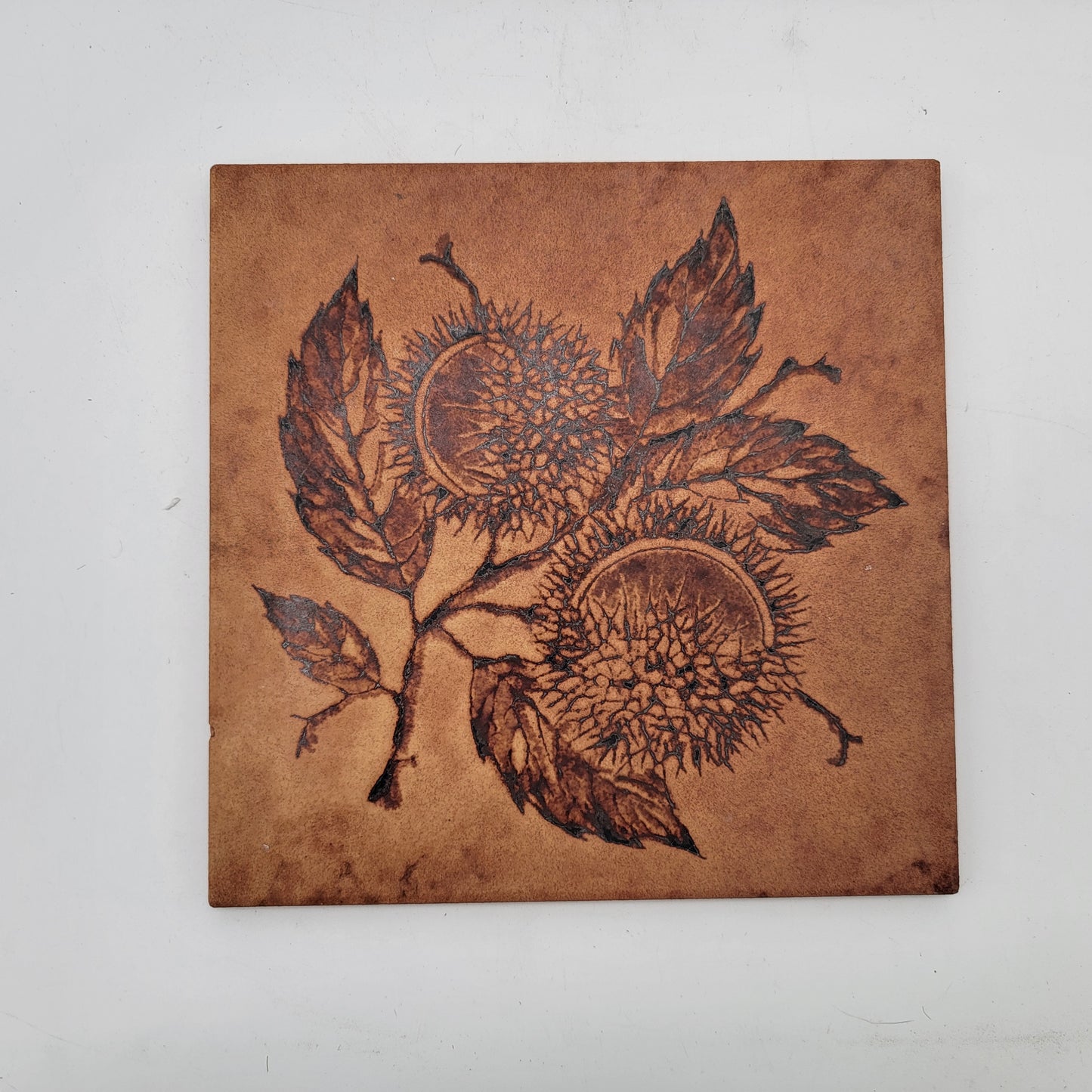 Cisa Sassuolo Italian Tile Trivet