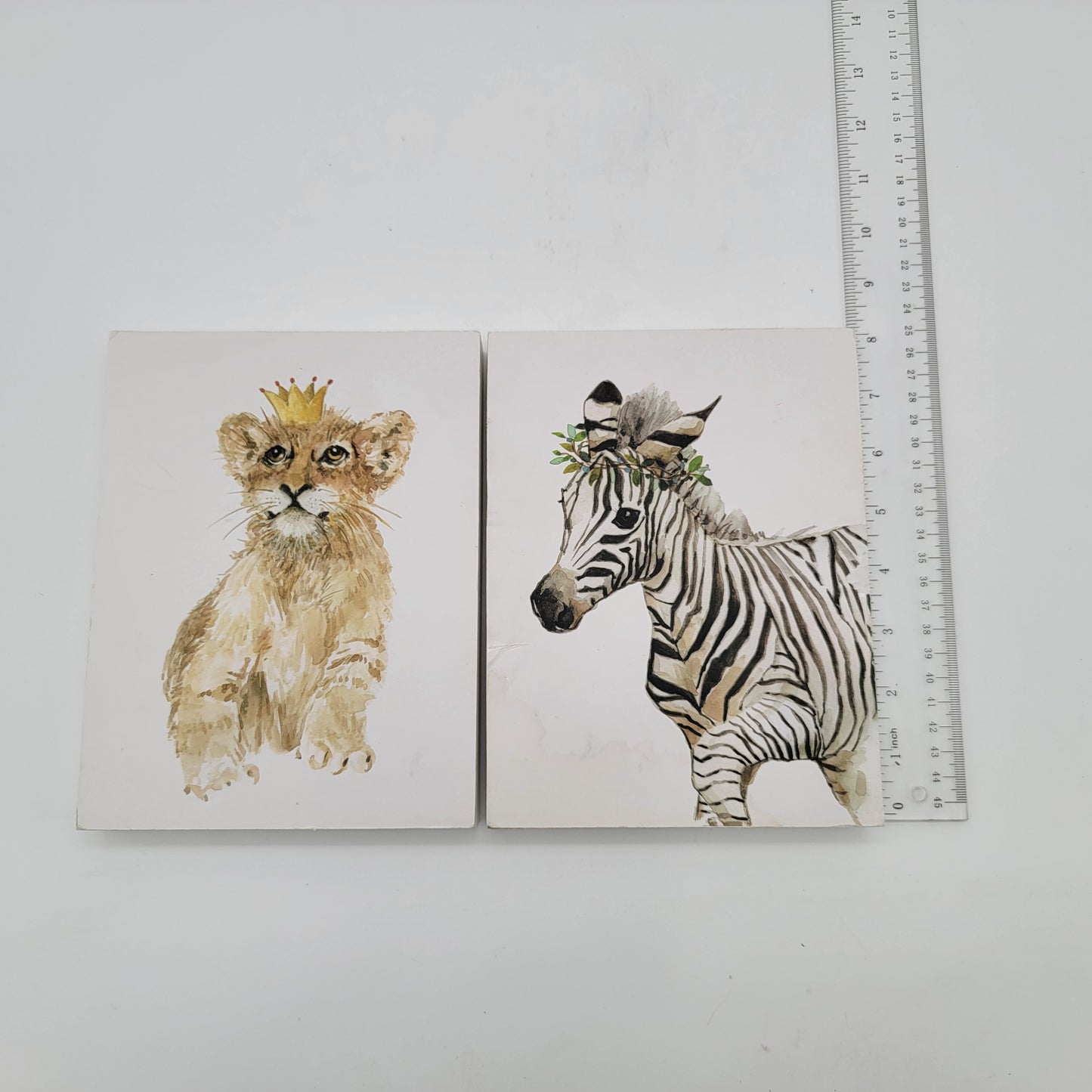 Baby Zebra and Lion Block Art Prints