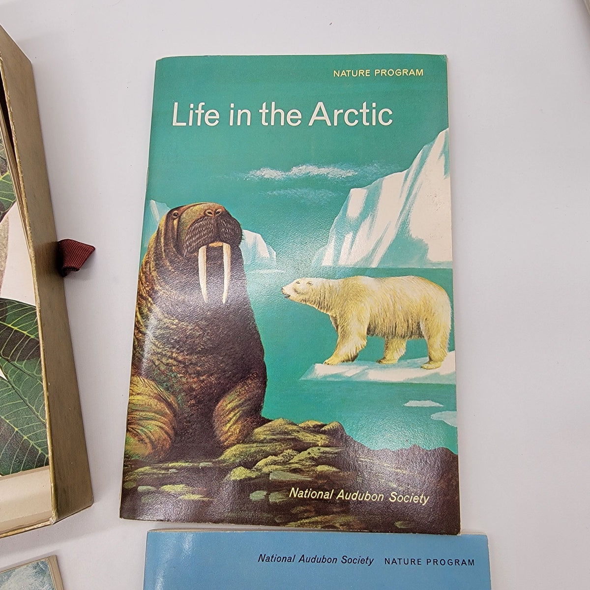 National Audubon Society Nature Program Box Set With Books & Fossil Kit
