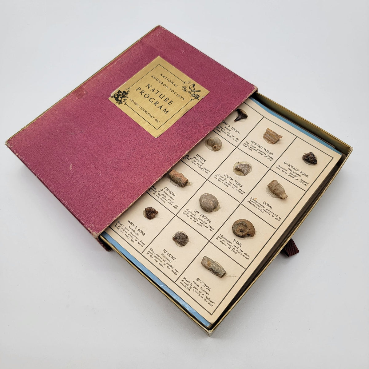National Audubon Society Nature Program Box Set With Books & Fossil Kit