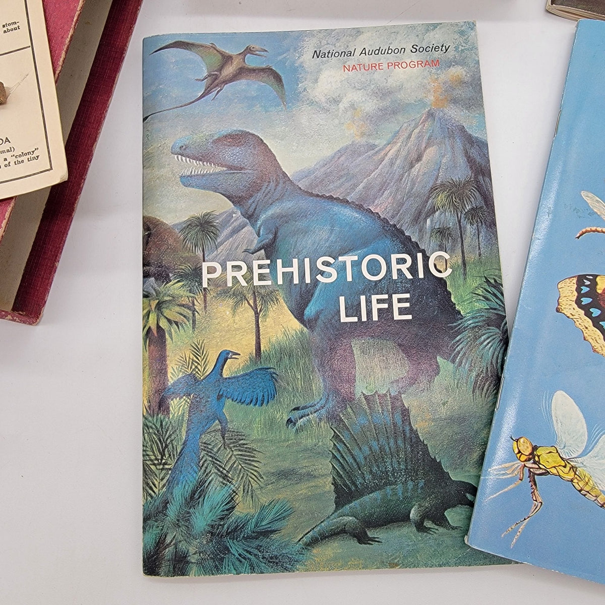 National Audubon Society Nature Program Box Set With Books & Fossil Kit