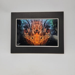 Descriptive image text