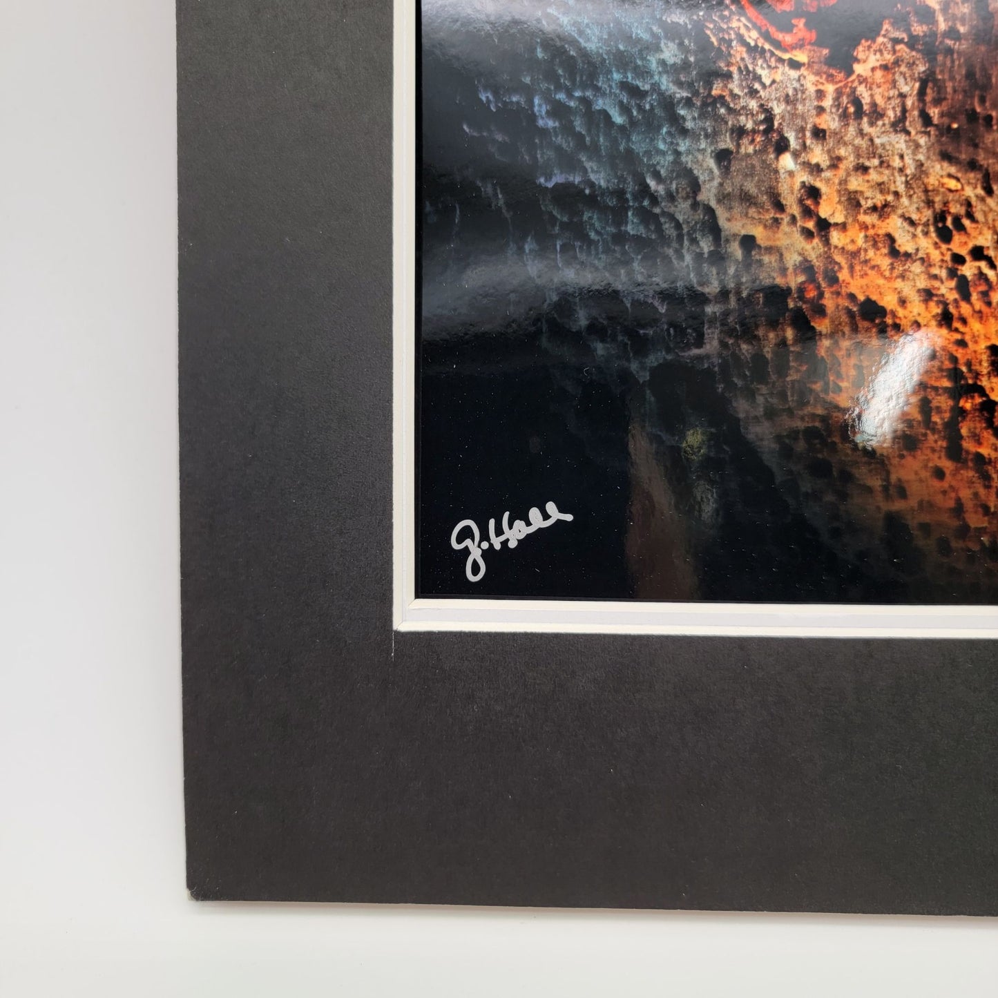 "Ancient Prey" By Gina Geldbach-Hall 2018 Firegal Designs 8x12" Print On Metal Paper