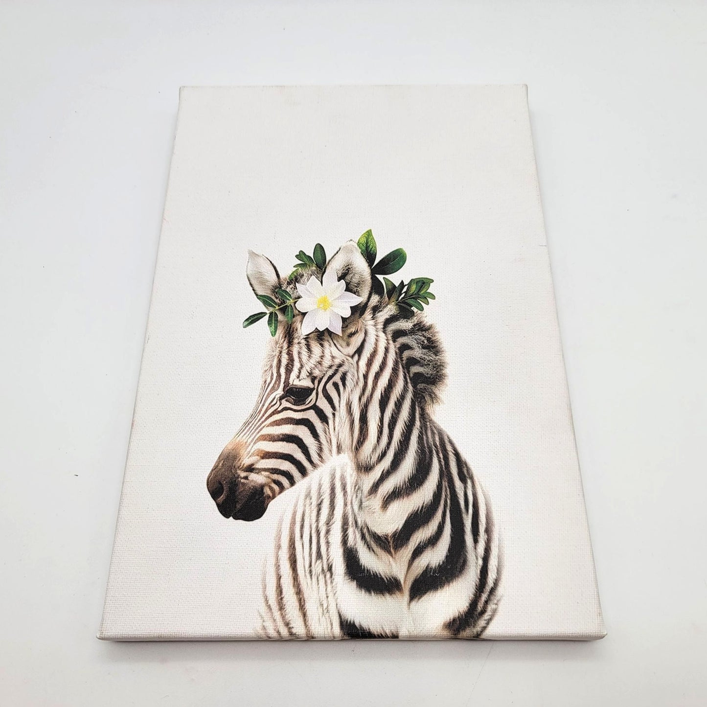 Baby Zebra Canvas Wall Art