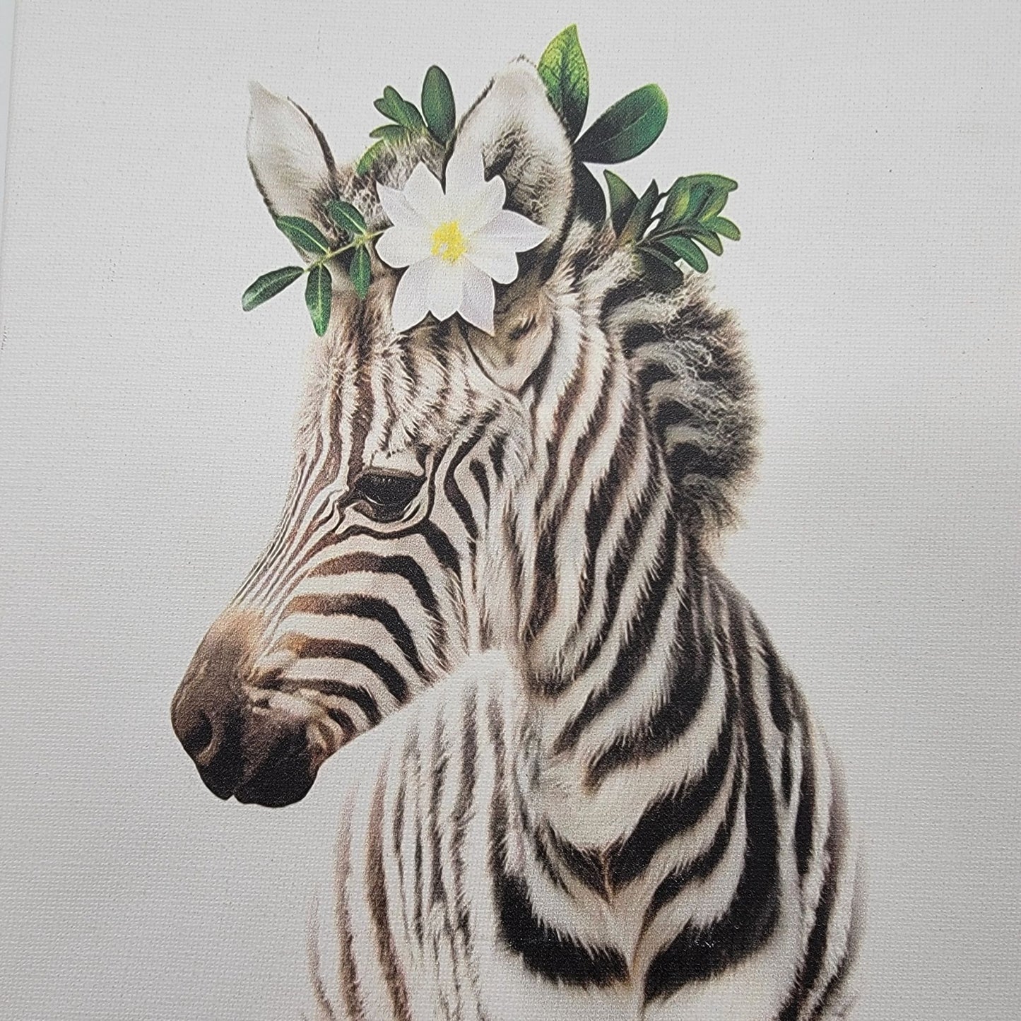 Baby Zebra Canvas Wall Art