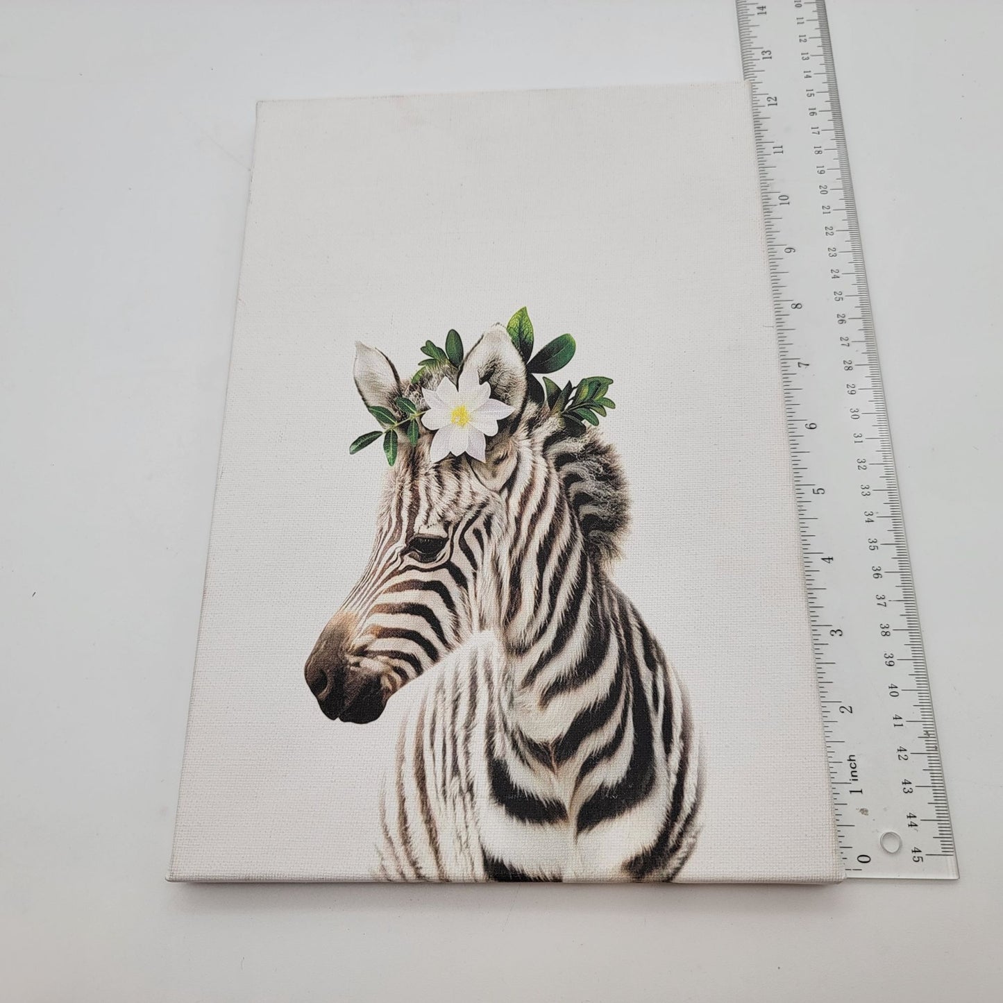 Baby Zebra Canvas Wall Art
